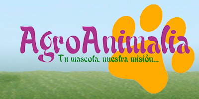 ¡Pide tu muestra de comida para perro totalmente gratis!