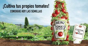 gratis semillas de tomate Heinz