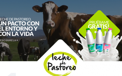 Prueba gratis la Leche de Pastoreo Celta