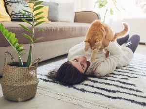 Los grandes beneficios de tener un gato en casa