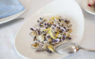 Increíbles recetas con tellinas