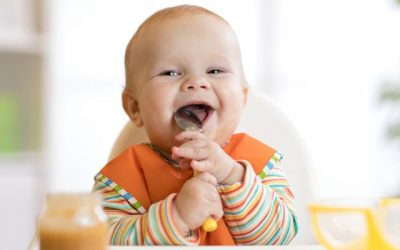 Potitos para bebés: ¿son una buena opción?