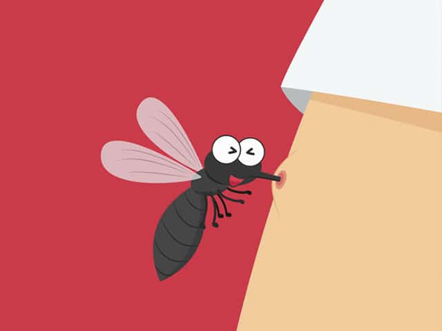 El mosquito tigre y los efectos de su picadura