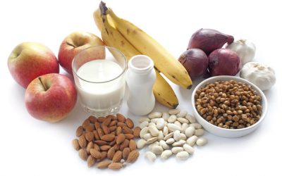 ¿Qué alimentos son ricos en probióticos naturales?