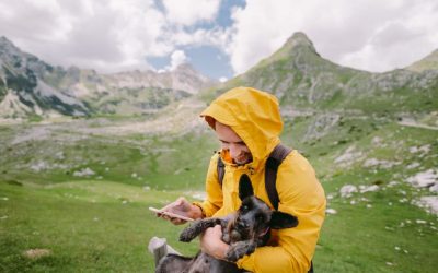 Qué debes saber sobre el collar GPS para perros