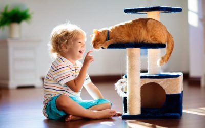 Los beneficios de un árbol rascador para gatos