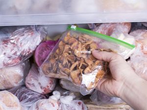 bolsas de congelación