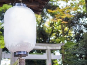 lámparas anti mosquitos de exterior