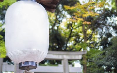Lámparas anti mosquitos de exterior