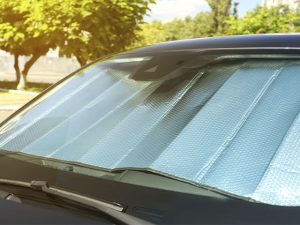 Parasol para el coche