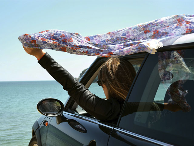 Parasol para el coche