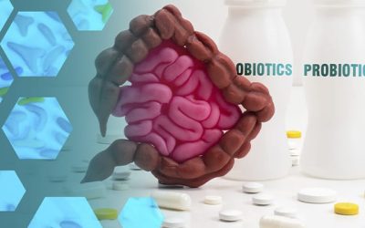 Probióticos y prebióticos naturales en la alimentación