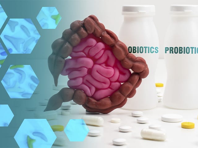 Probióticos y prebióticos naturales en la alimentación