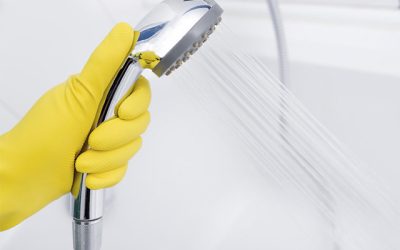 Cómo limpiar la mampara de la ducha fácilmente
